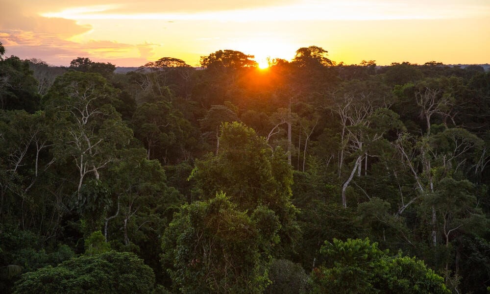 Amazonía peruana