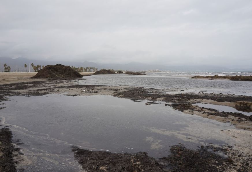 Jorge Zegarra Reátegui carece de